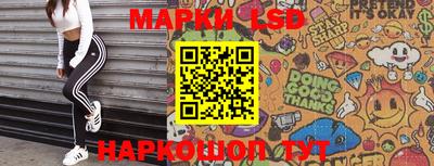 прущие грибы Кандалакша