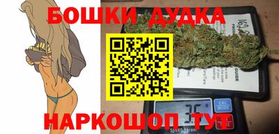 прущие грибы Кандалакша