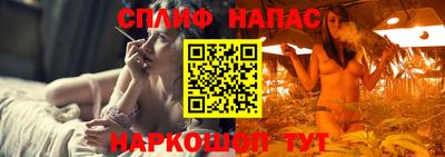 прущие грибы Кандалакша