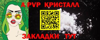 прущие грибы Кандалакша