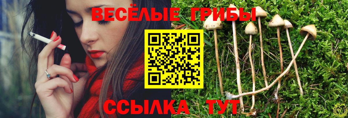 Псилоцибиновые грибы мухоморы Котлас
