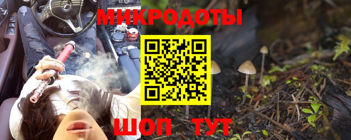 Котлас  Галлюциногенные грибы GOLDEN TEACHER  Вход с VPN  Галлюциногенные грибы Magic Shrooms 